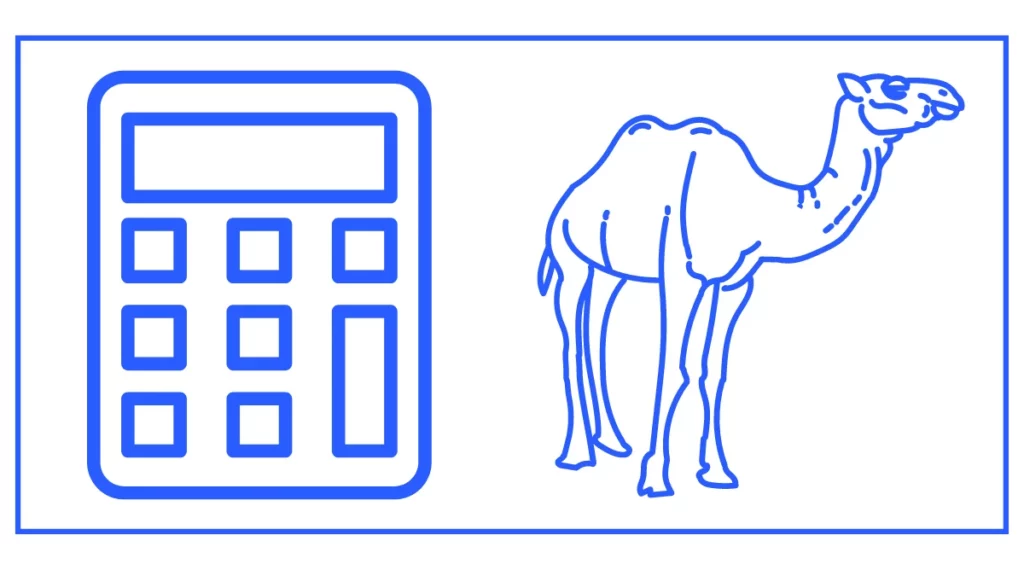 Camel worth Calculator