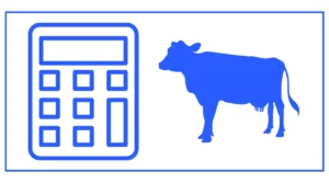Cow gestation Calculator